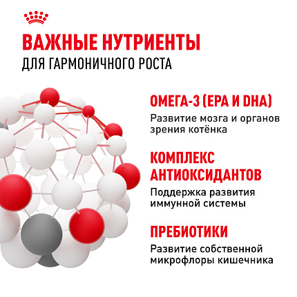 Сухой корм Royal Canin Kitten для котят до 12 месяцев 1.2 кг
